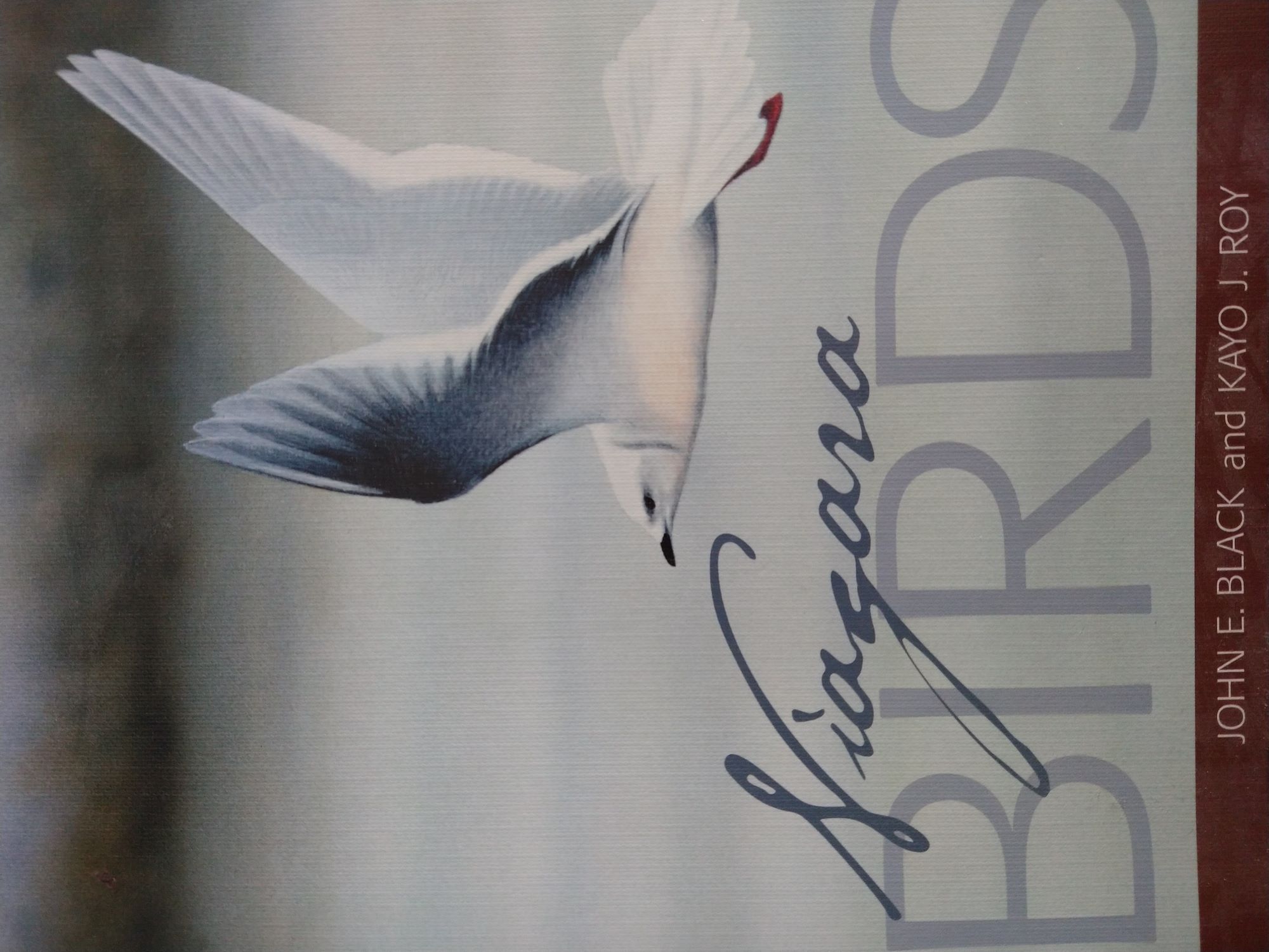 Niagara Birds book cover